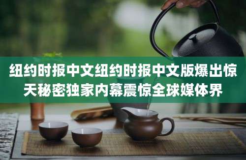 纽约时报中文纽约时报中文版爆出惊天秘密独家内幕震惊全球媒体界