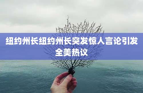 纽约州长纽约州长突发惊人言论引发全美热议