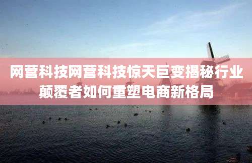 网营科技网营科技惊天巨变揭秘行业颠覆者如何重塑电商新格局