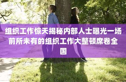 组织工作惊天揭秘内部人士曝光一场前所未有的组织工作大整顿席卷全国