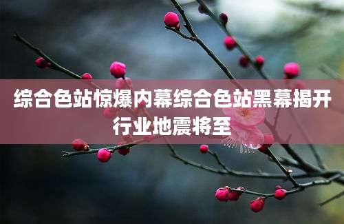 综合色站惊爆内幕综合色站黑幕揭开行业地震将至