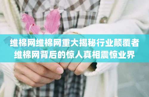 维棉网维棉网重大揭秘行业颠覆者维棉网背后的惊人真相震惊业界