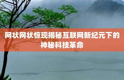 网状网状惊现揭秘互联网新纪元下的神秘科技革命