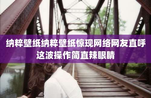 纳粹壁纸纳粹壁纸惊现网络网友直呼这波操作简直辣眼睛