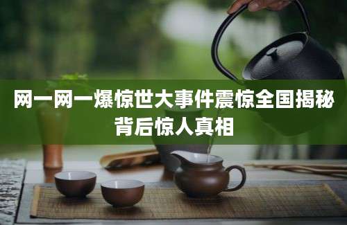 网一网一爆惊世大事件震惊全国揭秘背后惊人真相