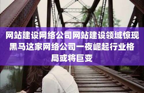 网站建设网络公司网站建设领域惊现黑马这家网络公司一夜崛起行业格局或将巨变