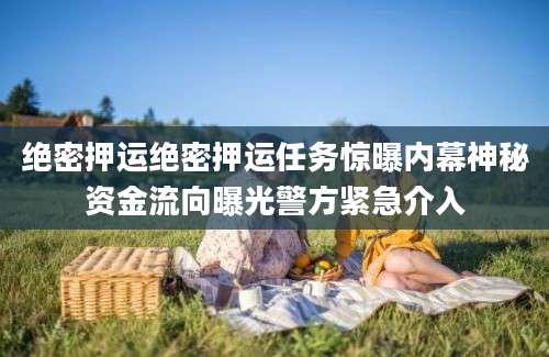 绝密押运绝密押运任务惊曝内幕神秘资金流向曝光警方紧急介入