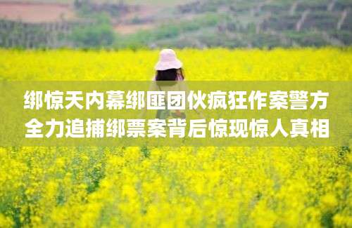 绑惊天内幕绑匪团伙疯狂作案警方全力追捕绑票案背后惊现惊人真相