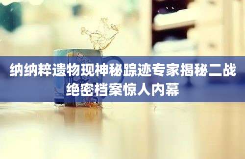 纳纳粹遗物现神秘踪迹专家揭秘二战绝密档案惊人内幕