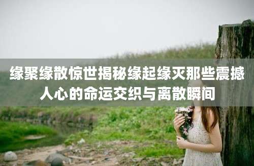 缘聚缘散惊世揭秘缘起缘灭那些震撼人心的命运交织与离散瞬间