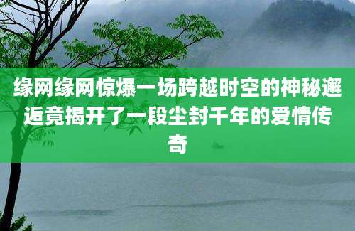 缘网缘网惊爆一场跨越时空的神秘邂逅竟揭开了一段尘封千年的爱情传奇