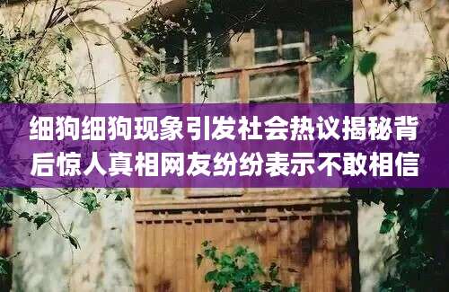 细狗细狗现象引发社会热议揭秘背后惊人真相网友纷纷表示不敢相信