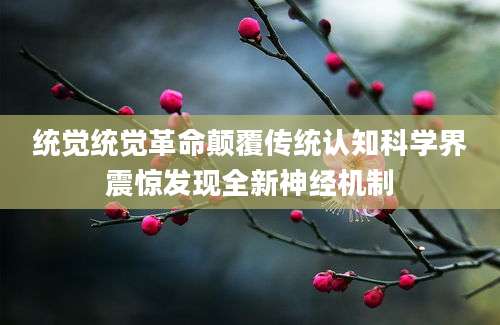 统觉统觉革命颠覆传统认知科学界震惊发现全新神经机制