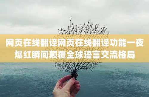 网页在线翻译网页在线翻译功能一夜爆红瞬间颠覆全球语言交流格局