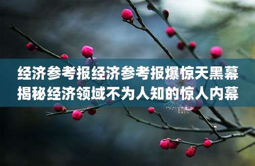 经济参考报经济参考报爆惊天黑幕揭秘经济领域不为人知的惊人内幕