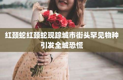 红颈蛇红颈蛇现踪城市街头罕见物种引发全城恐慌