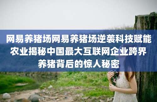 网易养猪场网易养猪场逆袭科技赋能农业揭秘中国最大互联网企业跨界养猪背后的惊人秘密