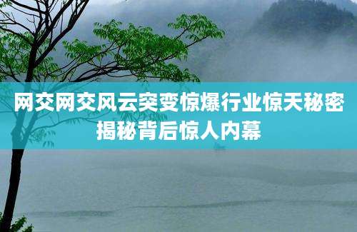 网交网交风云突变惊爆行业惊天秘密揭秘背后惊人内幕