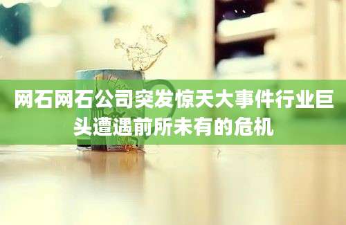 网石网石公司突发惊天大事件行业巨头遭遇前所未有的危机