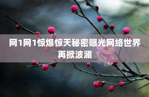 网1网1惊爆惊天秘密曝光网络世界再掀波澜