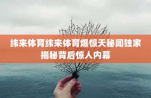 纬来体育纬来体育爆惊天秘闻独家揭秘背后惊人内幕