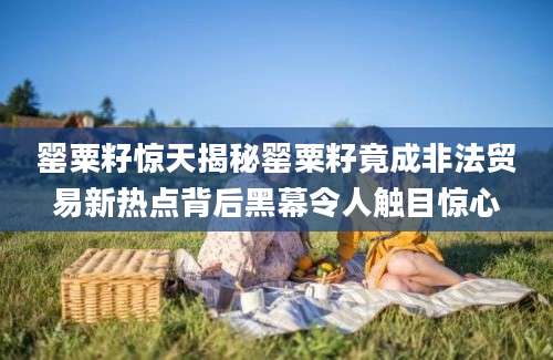 罂粟籽惊天揭秘罂粟籽竟成非法贸易新热点背后黑幕令人触目惊心