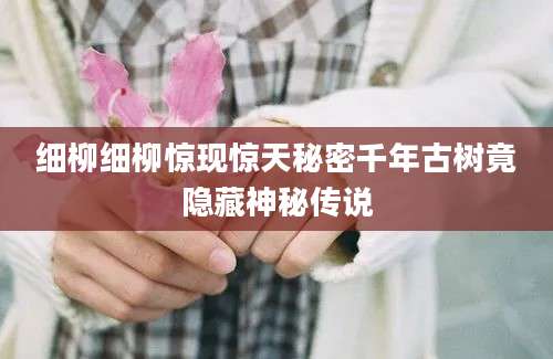 细柳细柳惊现惊天秘密千年古树竟隐藏神秘传说