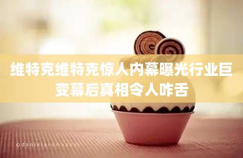 维特克维特克惊人内幕曝光行业巨变幕后真相令人咋舌