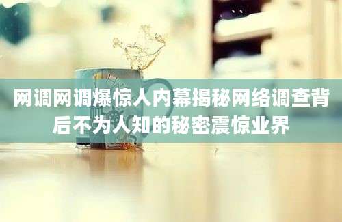 网调网调爆惊人内幕揭秘网络调查背后不为人知的秘密震惊业界