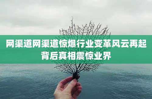 网渠道网渠道惊爆行业变革风云再起背后真相震惊业界