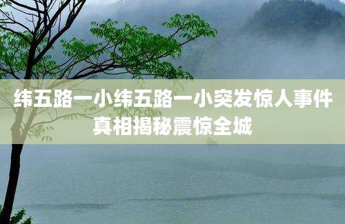 纬五路一小纬五路一小突发惊人事件真相揭秘震惊全城