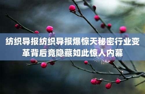 纺织导报纺织导报爆惊天秘密行业变革背后竟隐藏如此惊人内幕
