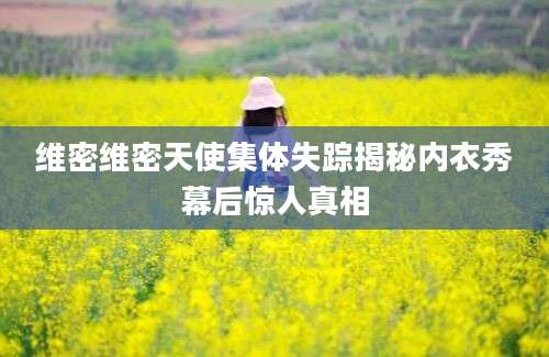 维密维密天使集体失踪揭秘内衣秀幕后惊人真相