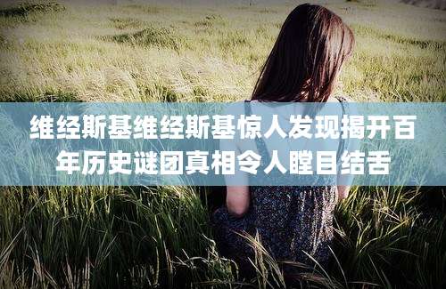 维经斯基维经斯基惊人发现揭开百年历史谜团真相令人瞠目结舌