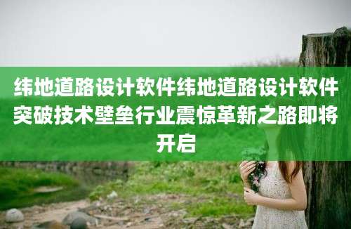 纬地道路设计软件纬地道路设计软件突破技术壁垒行业震惊革新之路即将开启