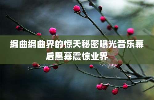 编曲编曲界的惊天秘密曝光音乐幕后黑幕震惊业界