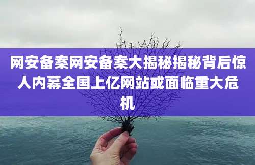 网安备案网安备案大揭秘揭秘背后惊人内幕全国上亿网站或面临重大危机