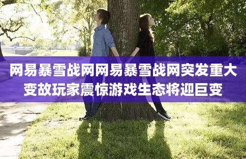网易暴雪战网网易暴雪战网突发重大变故玩家震惊游戏生态将迎巨变