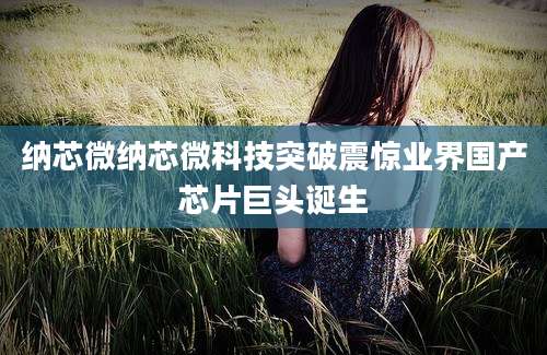 纳芯微纳芯微科技突破震惊业界国产芯片巨头诞生