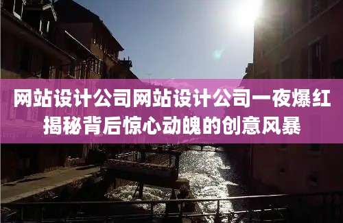 网站设计公司网站设计公司一夜爆红揭秘背后惊心动魄的创意风暴