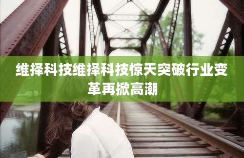 维择科技维择科技惊天突破行业变革再掀高潮