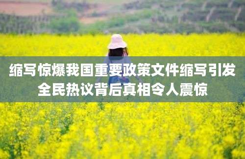 缩写惊爆我国重要政策文件缩写引发全民热议背后真相令人震惊