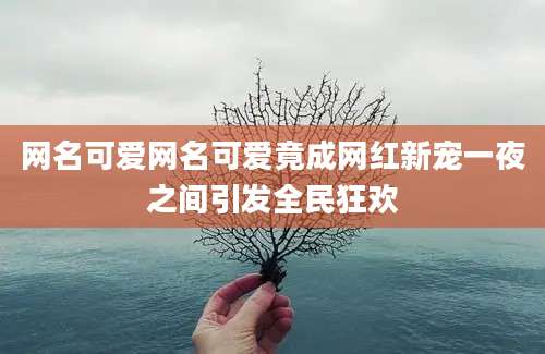 网名可爱网名可爱竟成网红新宠一夜之间引发全民狂欢