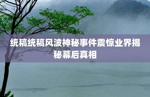 统稿统稿风波神秘事件震惊业界揭秘幕后真相