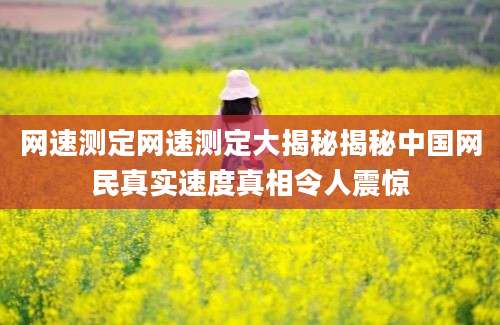 网速测定网速测定大揭秘揭秘中国网民真实速度真相令人震惊
