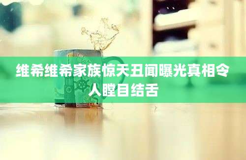 维希维希家族惊天丑闻曝光真相令人瞠目结舌