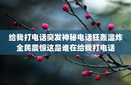 给我打电话突发神秘电话狂轰滥炸全民震惊这是谁在给我打电话