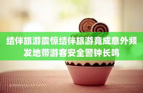 结伴旅游震惊结伴旅游竟成意外频发地带游客安全警钟长鸣