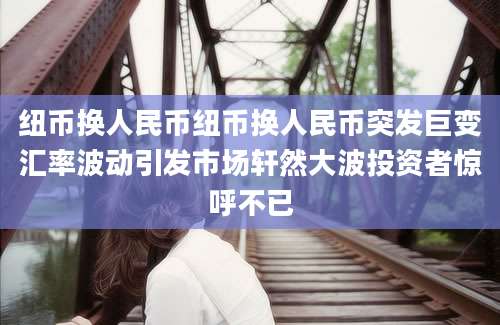 纽币换人民币纽币换人民币突发巨变汇率波动引发市场轩然大波投资者惊呼不已