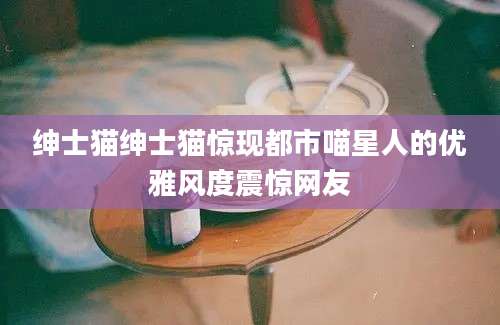 绅士猫绅士猫惊现都市喵星人的优雅风度震惊网友